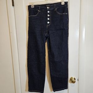 Universal Standard dark wash Dolly high rise button fly jeans